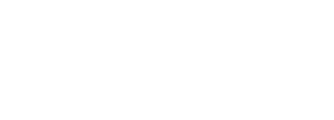 Baltic aerospace systems logo